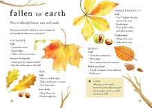 Load image into Gallery viewer, A Field Guide to Autumn : Play and learn in nature
