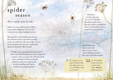 Load image into Gallery viewer, A Field Guide to Autumn : Play and learn in nature
