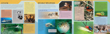 Load image into Gallery viewer, Lonely Planet Kids Deadly Animal Atlas
