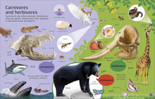 Load image into Gallery viewer, 1000 Animal Words : Build Animal Vocabulary and Literacy Skills
