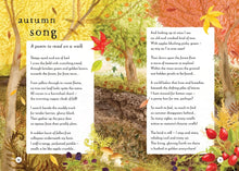 Load image into Gallery viewer, A Field Guide to Autumn : Play and learn in nature
