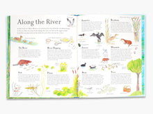 Load image into Gallery viewer, Mouse on the River : A journey through nature
