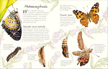 Load image into Gallery viewer, An Anthology of Butterflies and Moths
