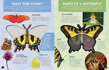 Load image into Gallery viewer, Inside Out Butterfly : Discover Nature&#39;s Most Amazing Transformation
