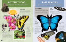 Load image into Gallery viewer, Inside Out Butterfly : Discover Nature&#39;s Most Amazing Transformation
