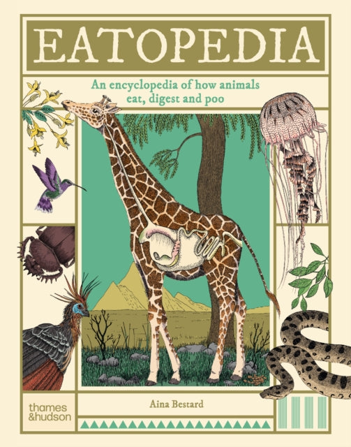 Eatopedia : An encyclopedia of how animals eat, digest and poo