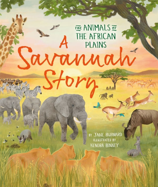 A Savannah Story : The animals of the African plains