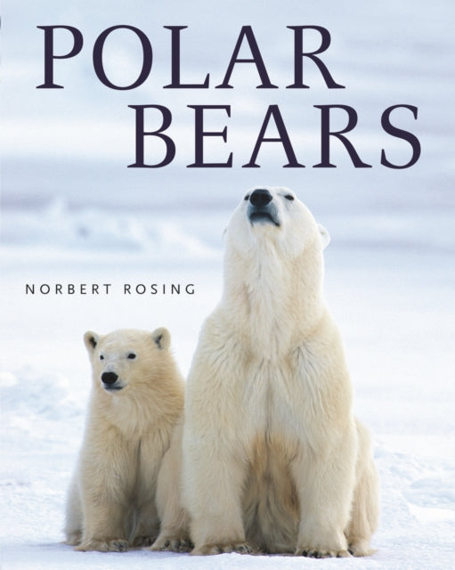 Polar Bears