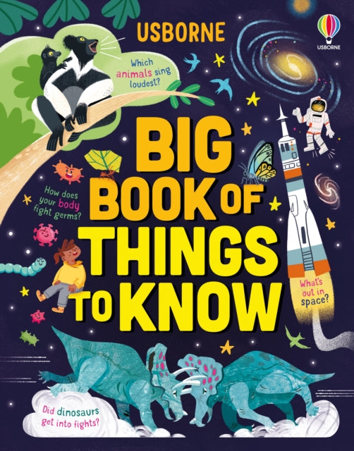 Big Book of Things to Know : A Fact Book for Kids