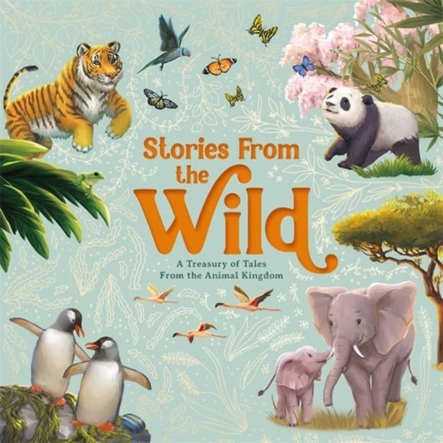 Stories From The Wild