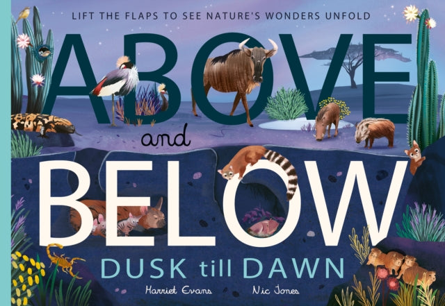 Above and Below: Dusk till Dawn