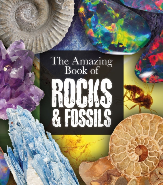 The Amazing Book of Rocks and Fossils