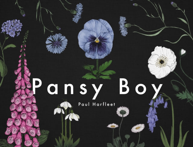 Pansy Boy