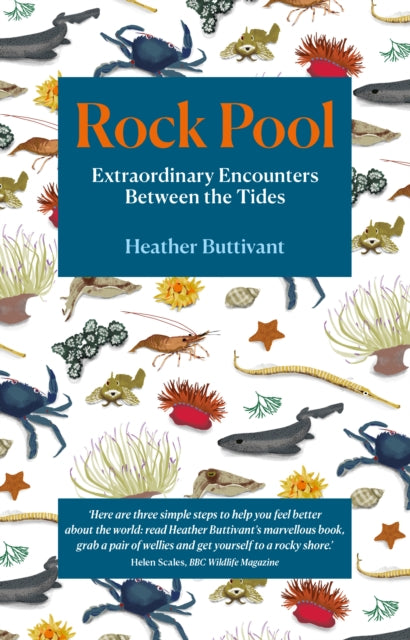 Rock Pool : Extraordinary Encounters Between the Tides