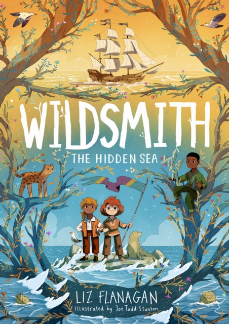 Wildsmith: The Hidden Sea