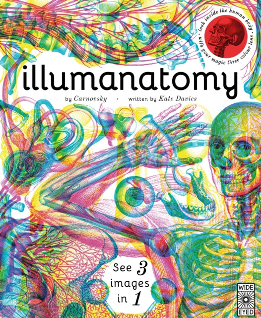 Illumanatomy