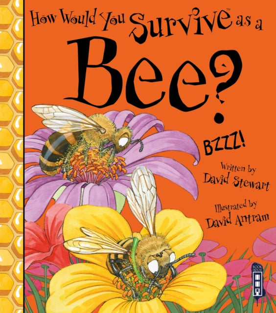 How Would You Survive as a Bee?